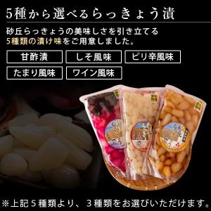 砂丘らっきょう漬け 鳥取県福部町産 選べる3パ...の詳細画像2