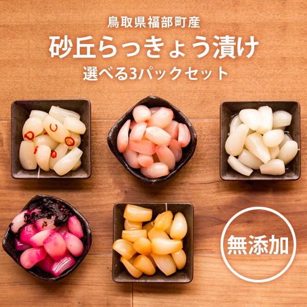 砂丘らっきょう漬け 鳥取県福部町産 選べる3パックセット 無添加 国産 送料無料