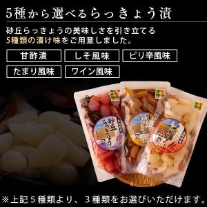 砂丘らっきょう漬け 鳥取県福部町産 選べる3パ...の詳細画像2