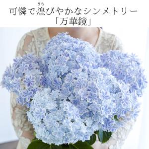 母の日 ギフト プレゼント 花 2026アジサ...の詳細画像4