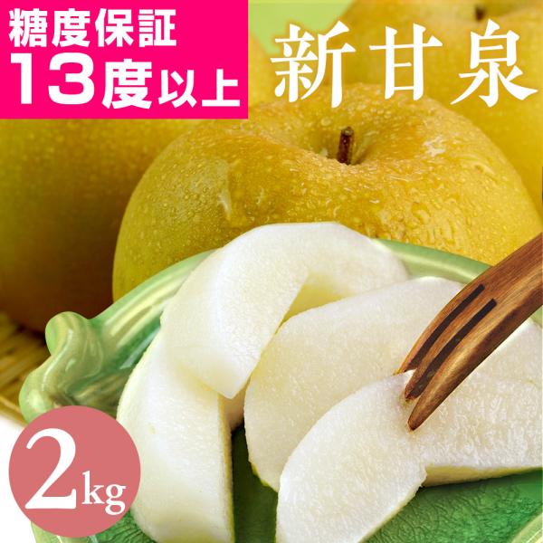 梨 光センサー糖度13度以上保証 新甘泉（しんかんせん） 2kg詰（5〜6玉入） 鳥取県産 なし 新...