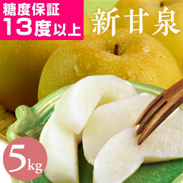 梨 光センサー糖度13度以上保証 新甘泉（しんかんせん） 5kg詰（8〜18玉入） 鳥取県産 なし ...