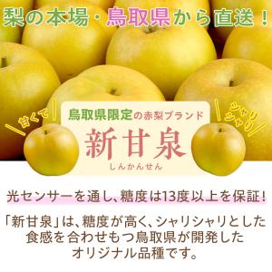 梨 光センサー糖度13度以上保証 新甘泉(しん...の詳細画像1