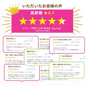 梨 光センサー糖度13度以上保証 新甘泉(しん...の詳細画像2