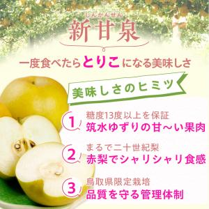 梨 光センサー糖度13度以上保証 新甘泉(しん...の詳細画像3