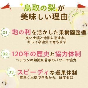 梨 光センサー糖度13度以上保証 新甘泉(しん...の詳細画像4