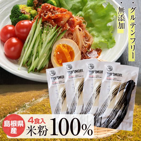 10割米粉麺 TAMAMORI 4食入 小麦粉不使用 グルテンフリー 無添加 添加物不使用 国産 パ...