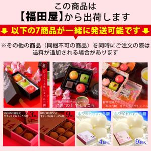 福田屋 匠の三撰 ひとくち上生しょこらの詳細画像1