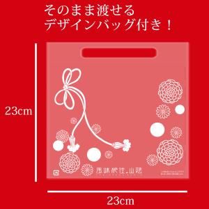 福田屋 匠の三撰 ひとくち上生しょこらの詳細画像5
