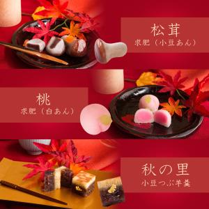 敬老の日 プレゼント ギフト お菓子 和菓子 ...の詳細画像5