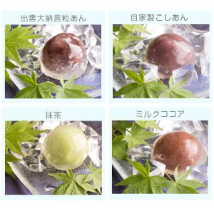 夏季限定 神話の国の贈り物 匠の十二撰「出雲国...の詳細画像3