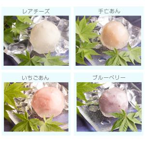 夏季限定 神話の国の贈り物 匠の十二撰「出雲国...の詳細画像4