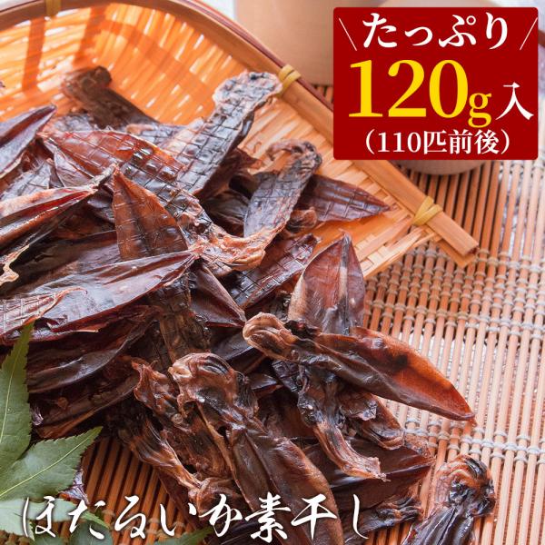 おつまみ 珍味 ほたるいか 素干し 干物 干し 無添加 ホタルイカの素干し 120g 送料無料 ネコ...
