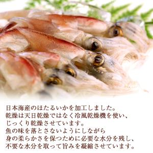 おつまみ 珍味 ほたるいか 素干し 干物 干し...の詳細画像3