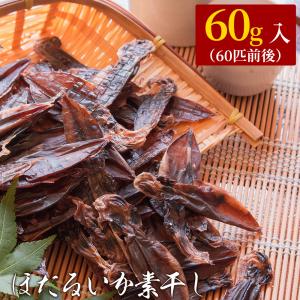 おつまみ 珍味 ほたるいか素干し“無添加”100g（ホタルイカ素干し60匹前後入） おつまみ 珍味 1000円 ポッキリ 送料無料 ネコポス（他商品との同梱不可）