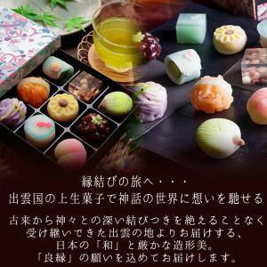 夏季限定 出雲国の十二撰 ひとくち上生菓子詰合...の詳細画像1