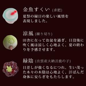 夏季限定 出雲国の十二撰 ひとくち上生菓子詰合...の詳細画像5