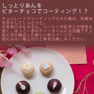 坂根屋 和トリュフ IZUMO5個入の詳細画像4