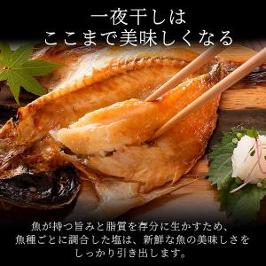 お中元ギフト 2026 のどぐろ 干物 入り ...の詳細画像5