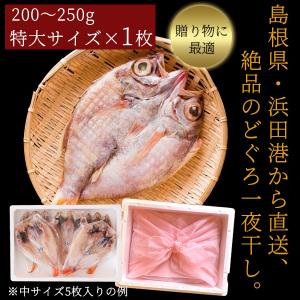 敬老の日 プレゼント ギフト 2026 のどぐ...の詳細画像2