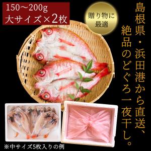 敬老の日 プレゼント ギフト 2026 のどぐ...の詳細画像2