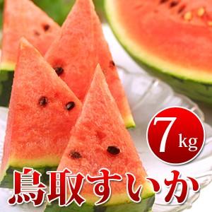 鳥取すいか7kg前後（大玉サイズ）×1玉 お中元 送料無料