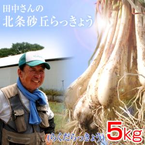鳥取県産特別栽培 田中さんの北条砂丘らっきょう5kg（根付き土付き らくだらっきょう 国産） 送料無料｜パーソナルギフト 風味絶佳.山陰