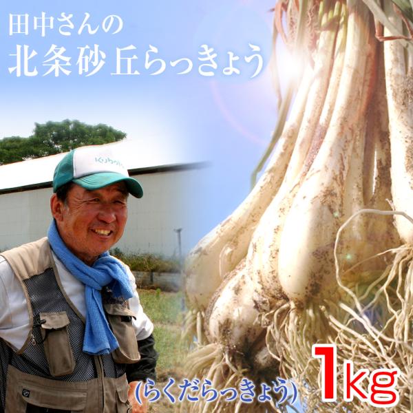 鳥取県産特別栽培 田中さんの北条砂丘らっきょう1kg（根付き土付き らくだらっきょう 国産） 送料無...