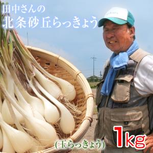 鳥取県産特別栽培 田中さんの北条砂丘らっきょう1kg（根付き土付き 玉らっきょう 国産） 送料無料