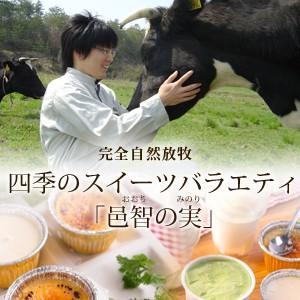 完全自然放牧 四季のスイーツバラエティ 邑智の実（おおちのみのり） （ジェラート・カップソフト・チー...