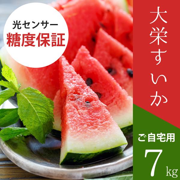 大栄すいか7kg前後（大玉サイズ）×1玉 鳥取県産 ご自宅用大栄スイカ 訳あり 送料無料（北海道・沖...