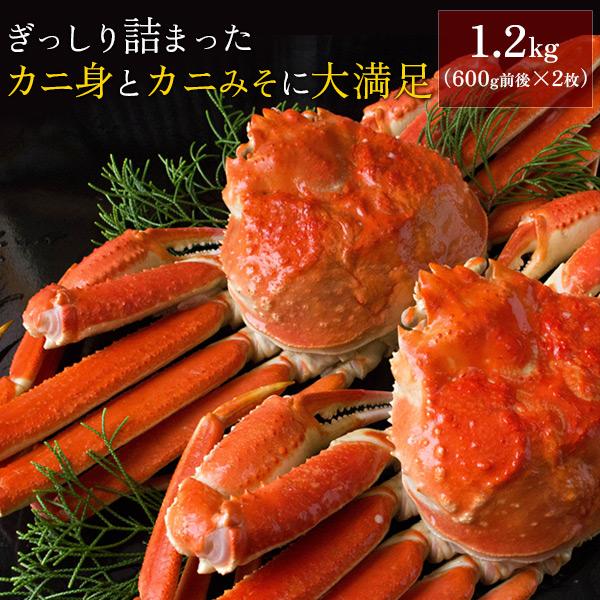 ボイルズワイガニ姿1.2kg（600g前後×2枚セット） かに カニ 蟹 送料無料