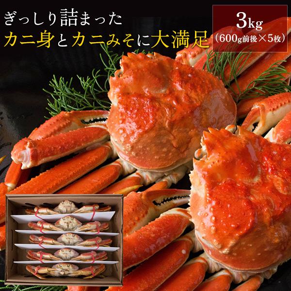 ボイルズワイガニ姿3kg（600g前後×5枚セット） かに カニ 蟹 送料無料