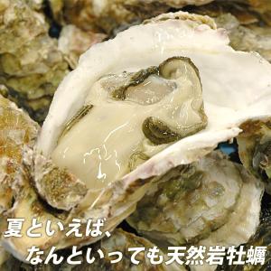 山陰沖産 天然岩牡蠣1kgセット(5個前後入)...の詳細画像2