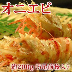 山陰沖産 オニエビ（鬼海老/おにえび）約200g（5尾前後入）