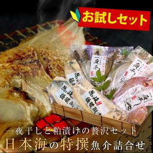 日本海の特撰魚介お試しセット（ご自宅用簡易パッケージ） 送料無料（北海道・沖縄を除く）