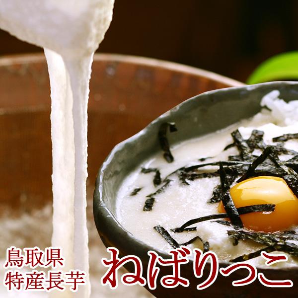 鳥取県北栄町特産 砂丘長いも「ねばりっこ」約2kg（2〜3本入） ご贈答用 送料無料