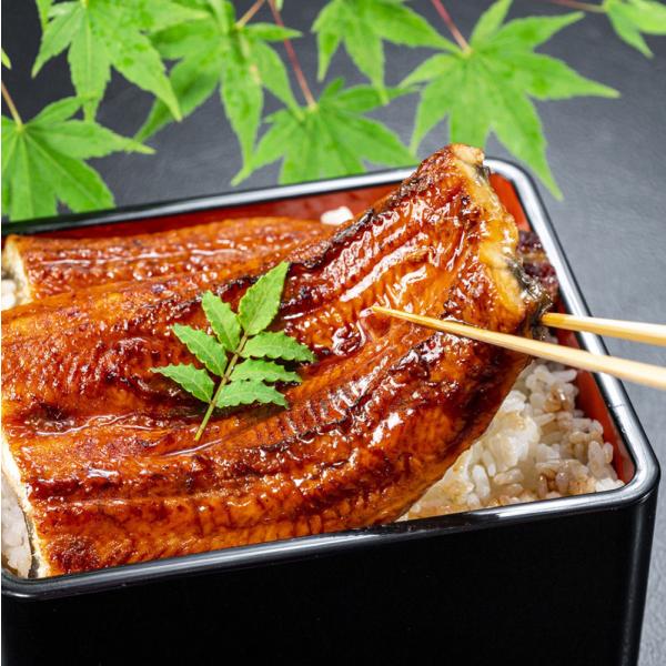 うなぎ蒲焼　1尾（蒲焼のたれ匠1本付） クール冷凍便 　※包装不可商品