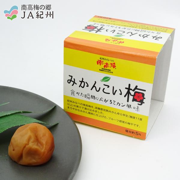 JAわかやま　みかんこい梅（100g）（塩分約5％）（梅製品税込6,000円以上で送料無料　北海道・...