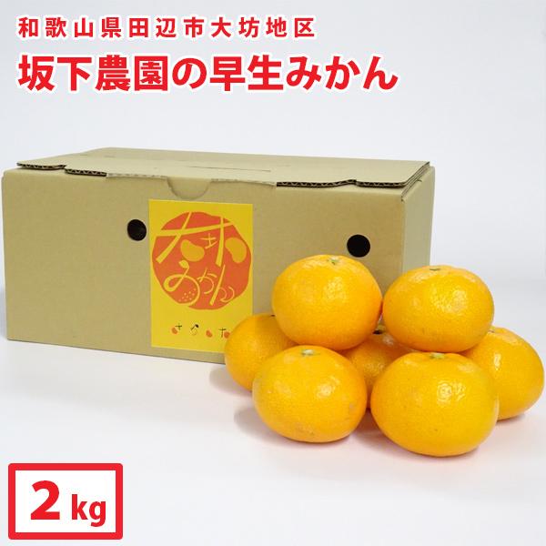 ギフト 送料無料　坂下農園　大坊みかん[温州みかん]　早生※12月上〜下旬の出荷（約2kg）和歌山県...