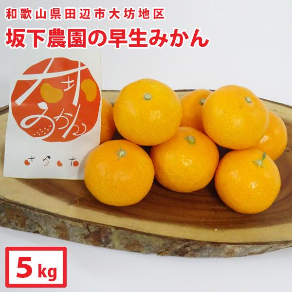 ギフト 送料無料　坂下農園　大坊みかん[温州みかん]　早生※12月上〜下旬の出荷（約5kg） 和歌山...