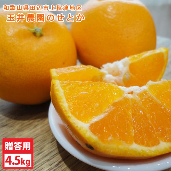 予約販売　2月下旬〜の発送　玉井農園のせとか（約4.5kg）贈答用（秀品）・L〜3Lサイズ　送料無料...