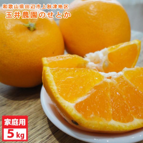 予約販売　2月下旬〜の発送　玉井農園のせとか（約5kg）ご家庭用・M〜3Lサイズ　※多少傷有り　送料...