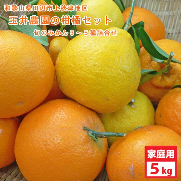 玉井農園の柑橘セット　家庭用※多少傷有り　旬のみかん3〜5種セット（5kg） 送料無料※北海道・沖縄...