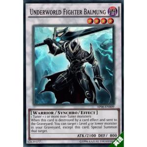 冥王竜ヴァンダルギオン 【英】【AP06-EN019】【N】_ : トレカのツボ