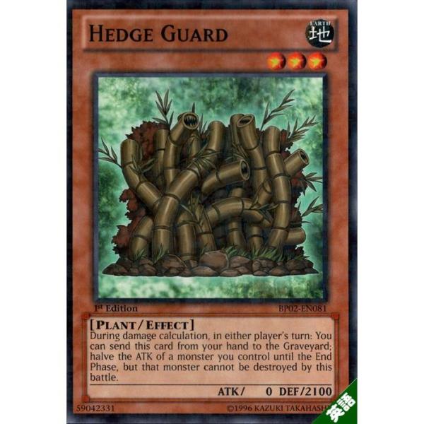 ガード・ヘッジ 【英】【BP02-EN081】【MS】_