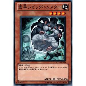 美品 滅びの黒魔術師 プリズマ 日版 TTP Amazon.co.jp: 遊戯王カード TTP1-JP001 滅びの黒魔術師 （ウルトラ