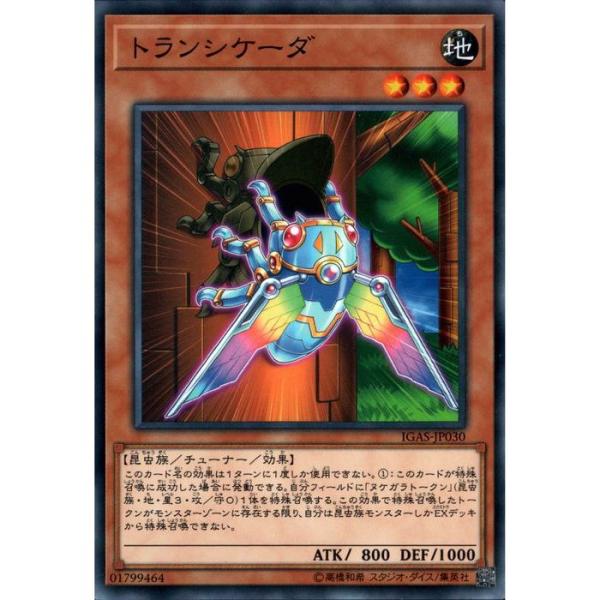 トランシケーダ 【IGAS-JP030】【N】_
