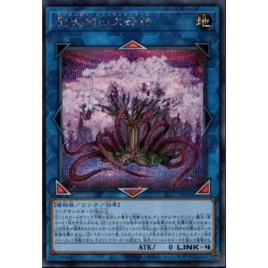 万力魔神バイサー・デス 【VB-05】【UR】_ : トレカのツボ ヤフー店