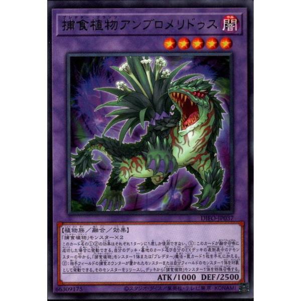 捕食植物アンブロメリドゥス 【DIFO-JP037】【R】_